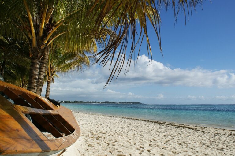 ocean, boat, palm tree